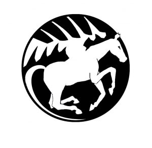 Pegasus - by Kevin Sanborn